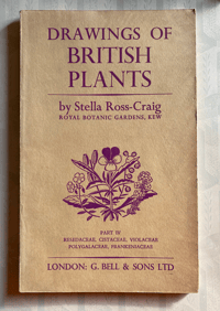 Image 1 of Drawings of British Plants Part IV