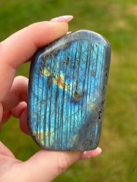 Image 1 of Labradorite Flashy Freeform