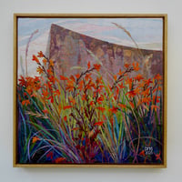 Image 2 of Crocosmia