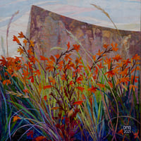 Image 1 of Crocosmia