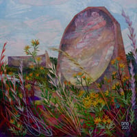 Image 1 of Ragwort
