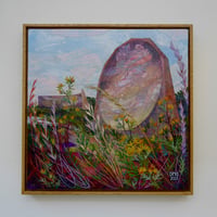 Image 2 of Ragwort