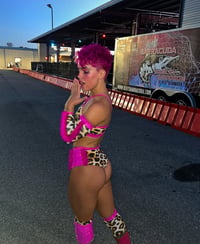PINK/LEOPARD Gear Set 