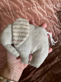 Image 3 of  Elephant Calf Stripey