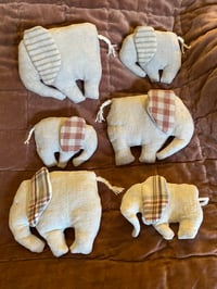 Image 4 of  Elephant Calf Stripey