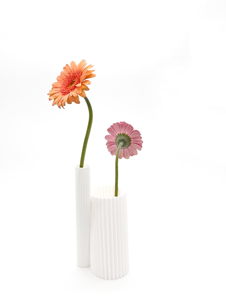 Edition Grande Ourse / ASTERIA Vase impression 3D  Image 3