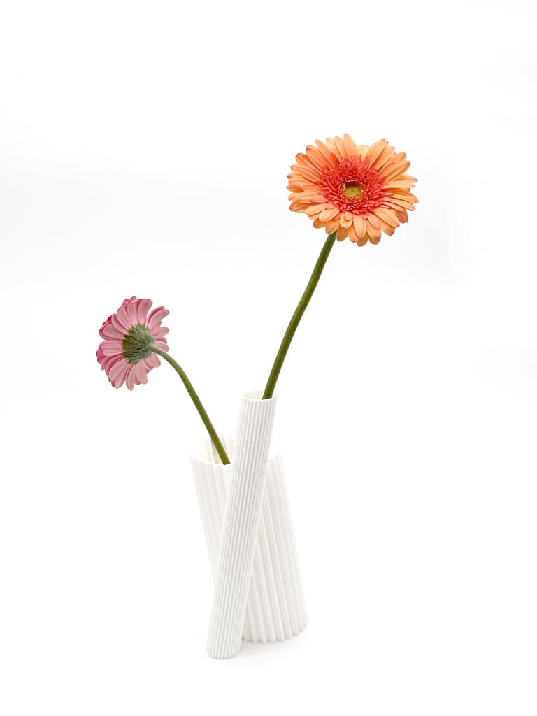 Edition Grande Ourse / ASTERIA Vase impression 3D  Image 4