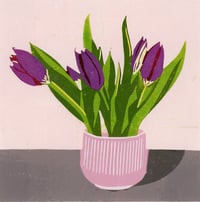 Tulips
