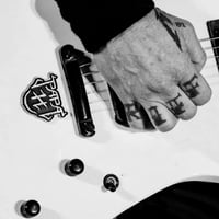 Image 5 of  James Hetfield ESP LTD SNAKEBYTE guitar stickers, Bastardane ,PAPA H vinyl decal 72 seasons