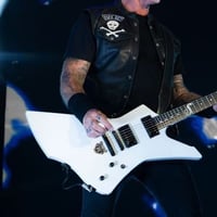 Image 6 of  James Hetfield ESP LTD SNAKEBYTE guitar stickers, Bastardane ,PAPA H vinyl decal 72 seasons