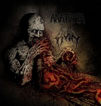 Ruin/Anatomia Split Tape