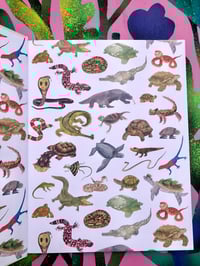 Image 3 of The Colourful World Of Reptiles - By Matt Sewell