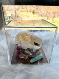 Image 2 of Rabbit Skull & Amethyst 