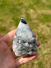 Image 1 of Black Agate Freeform Flame