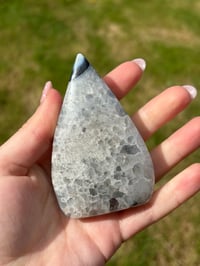Image 5 of Black Agate Freeform Flame
