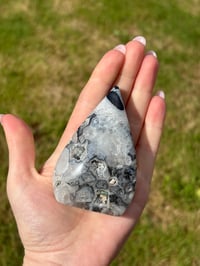Image 10 of Black Agate Freeform Flame