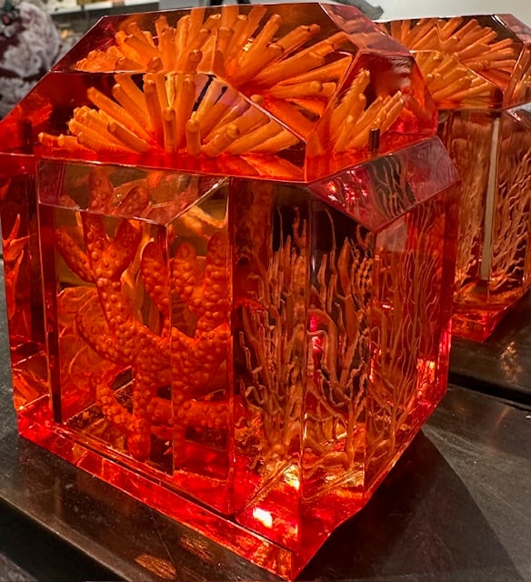 New Coral Box! The Classic Petite - Image 1 of 2