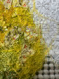 Image 2 of Pear Still Life