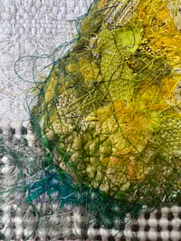 Image 4 of Pear Still Life