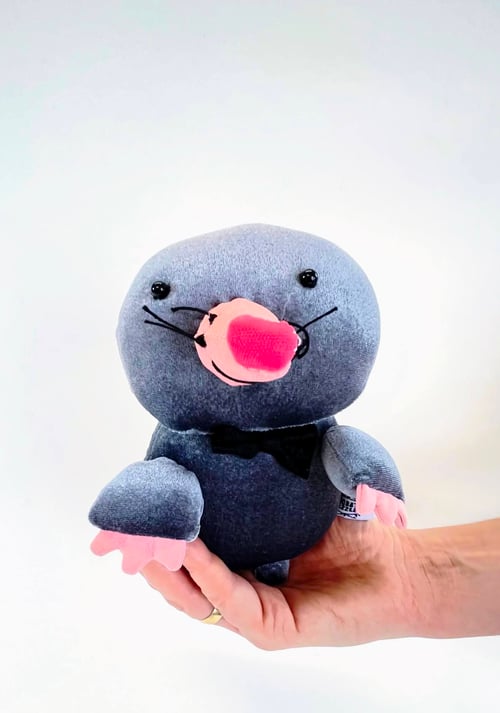 Image of Mo the mole