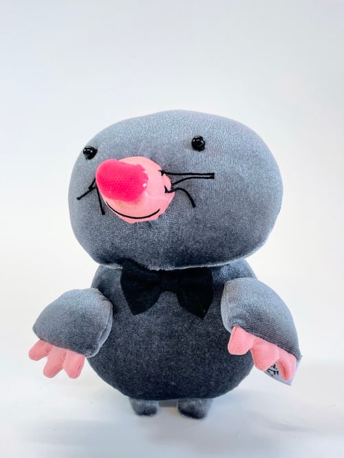 Image of Mo the mole