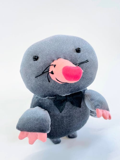 Image of Mo the mole