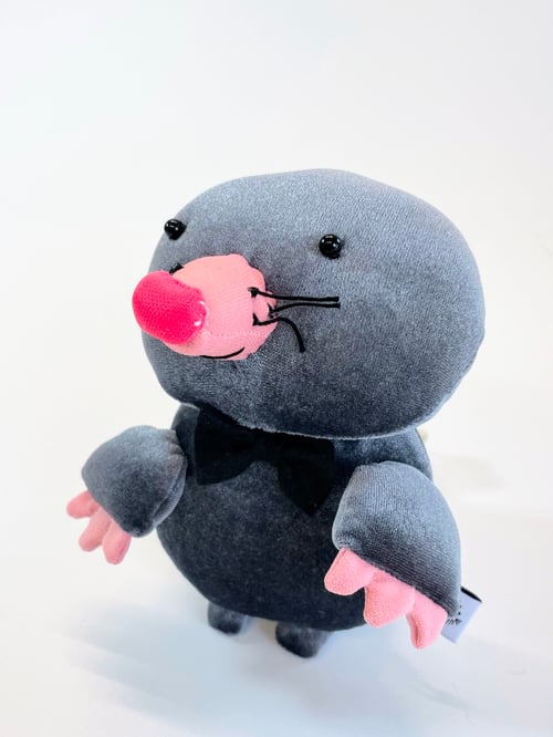 Image of Mo the mole