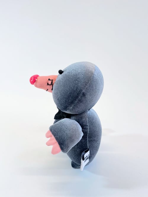 Image of Mo the mole