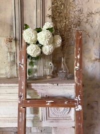 Image 1 of Échelle patinée décorative ou porte serviette - décoration campagne