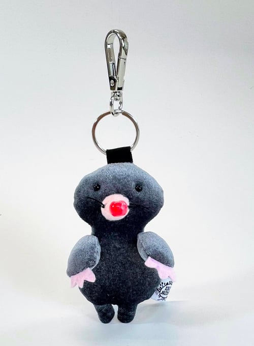 Image of Max the mole