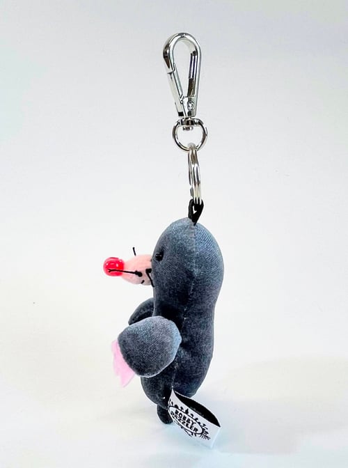 Image of Max the mole