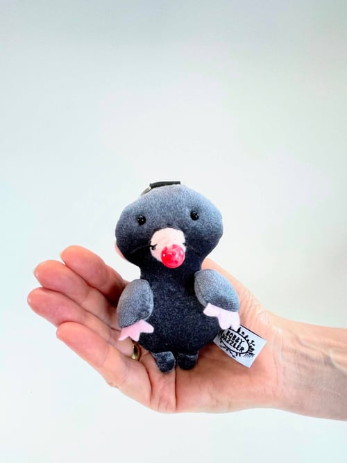 Image of Max the mole