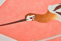 Image 5 of American Avocet - Limited Edition Print
