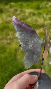 Image 2 of Fluorite Butterfly Wings