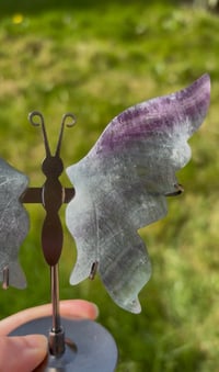 Image 3 of Fluorite Butterfly Wings