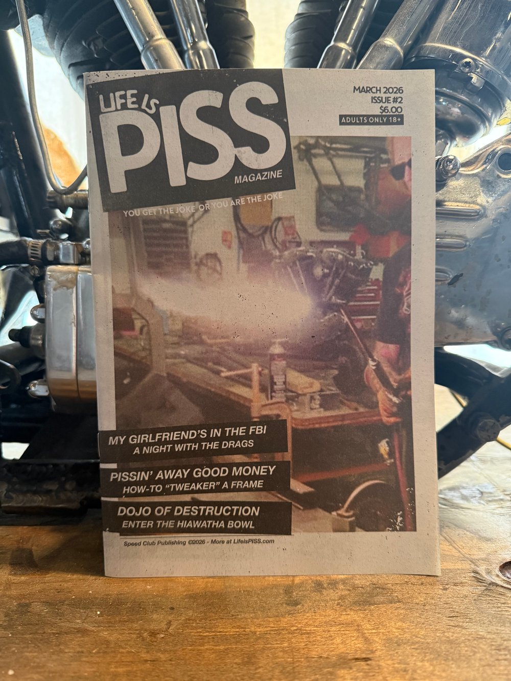 Image of Life is Piss (Issue 2)