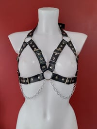 Image 1 of Strapped Harness