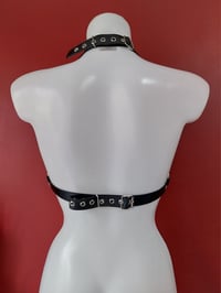 Image 5 of Strapped Harness