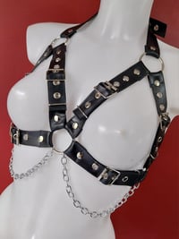 Image 4 of Strapped Harness