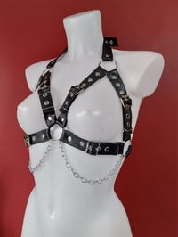 Image 3 of Strapped Harness