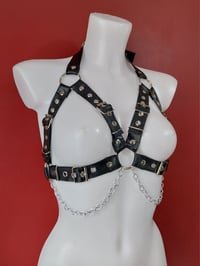 Image 2 of Strapped Harness