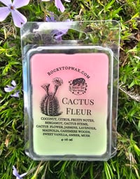 Image 1 of Cactus Fleur 