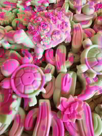 Image 2 of Cactus Fleur 