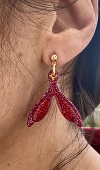 Les boucles « Clito » 