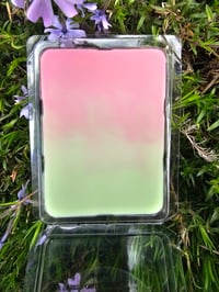 Image 4 of Cactus Fleur 