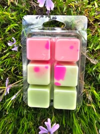 Image 5 of Cactus Fleur 