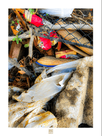 DISCARDED LIFE SERIES #3