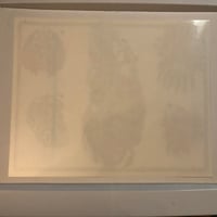 Image 2 of 1980’s laminated skull sheet 11x14