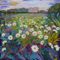 Image 1 of Daisies