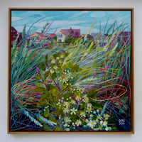Image 2 of Wild Clematis